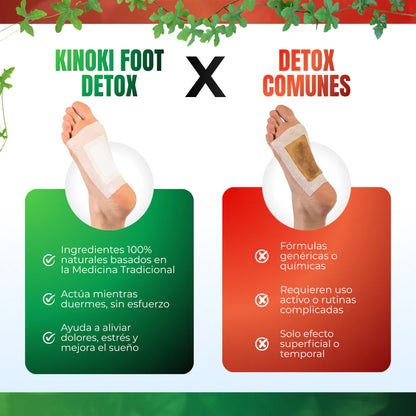 PARCHES DETOX PARA PIE KINOKI X50